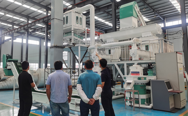 木屑制粒機(jī)設(shè)備 木屑制粒機(jī)設(shè)備