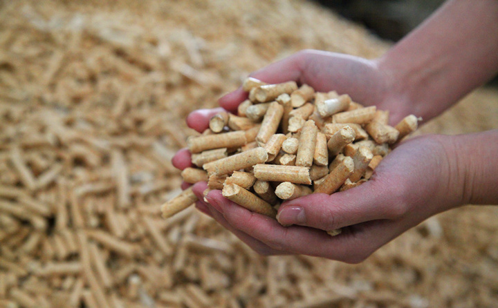 生物質顆粒燃料 生物質顆粒燃料