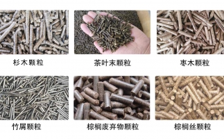 木屑顆粒機多少錢及發(fā)展趨勢如何？看這里