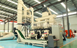 辦木屑顆粒燃料廠需要準備哪些工作？山東顆粒機廠家和您說說